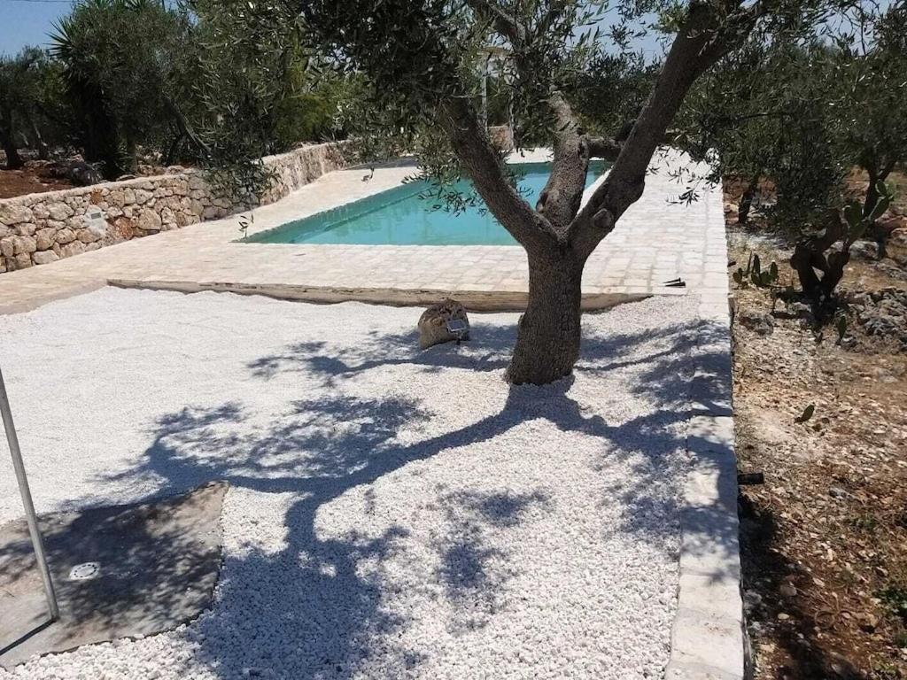 Casa Giuliveto - Charmantes Ferienhaus Mit Privatpool In Olivenhain Ostuni Εξωτερικό φωτογραφία