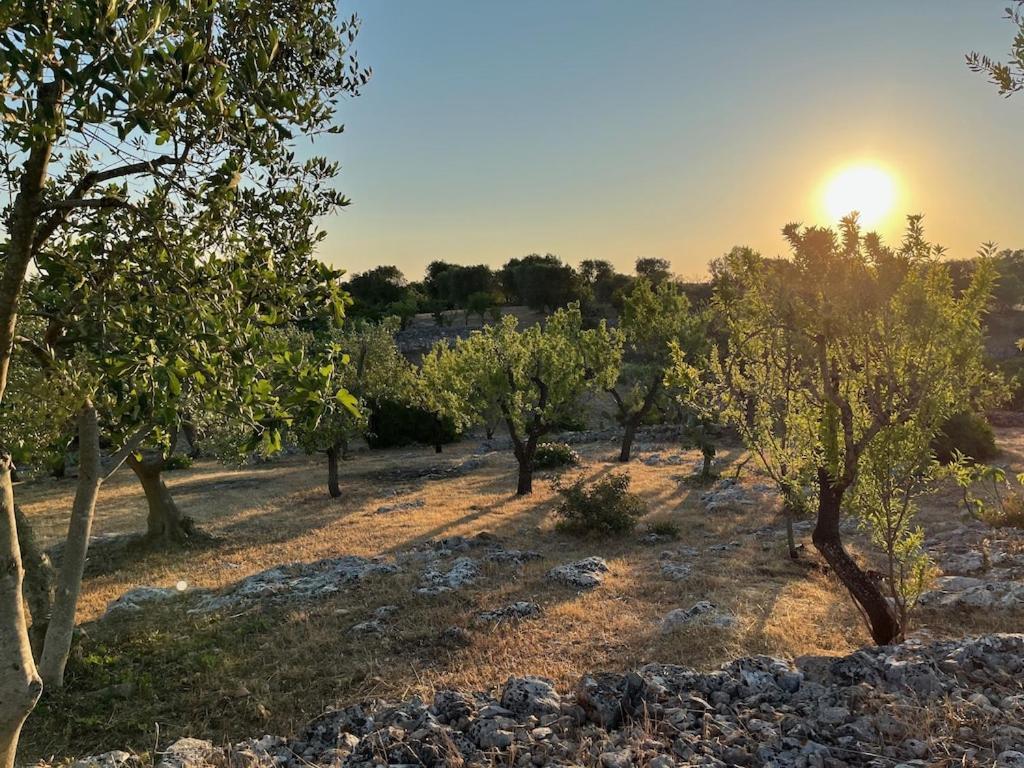 Casa Giuliveto - Charmantes Ferienhaus Mit Privatpool In Olivenhain Ostuni Εξωτερικό φωτογραφία