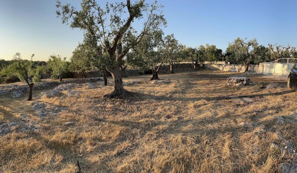 Casa Giuliveto - Charmantes Ferienhaus Mit Privatpool In Olivenhain Ostuni Εξωτερικό φωτογραφία